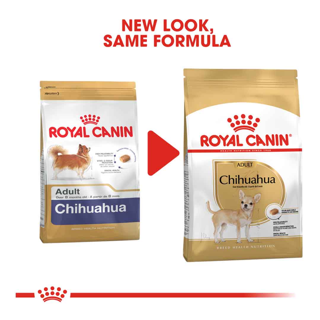 Teacup Chihuahua Mix Royal Canin Chihuahua The Best Dog Food For