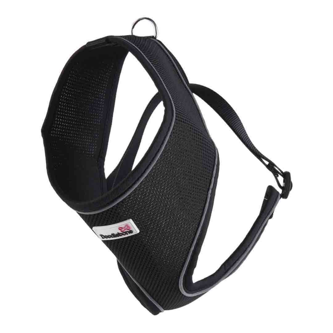 Doodlebone Dog Accessories Instore & Online at Jollyes