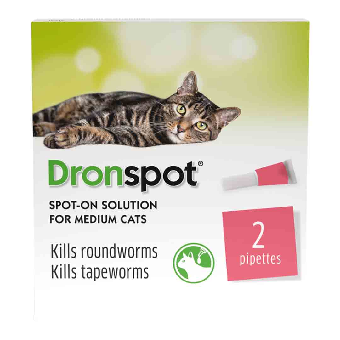 Dronspot SpotOn For Medium Cat Cat Worming Jollyes