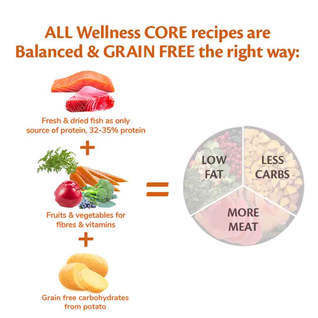 Wellness CORE Dry Dog Food Adult Ocean Salmon with Tuna Recipe