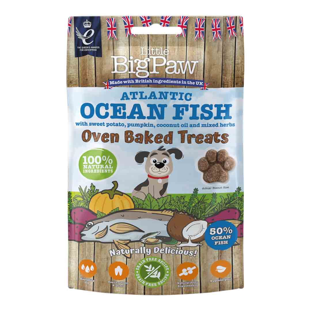 Little BigPaw Oven Baked Ocean Fish Dog Treats Jollyes