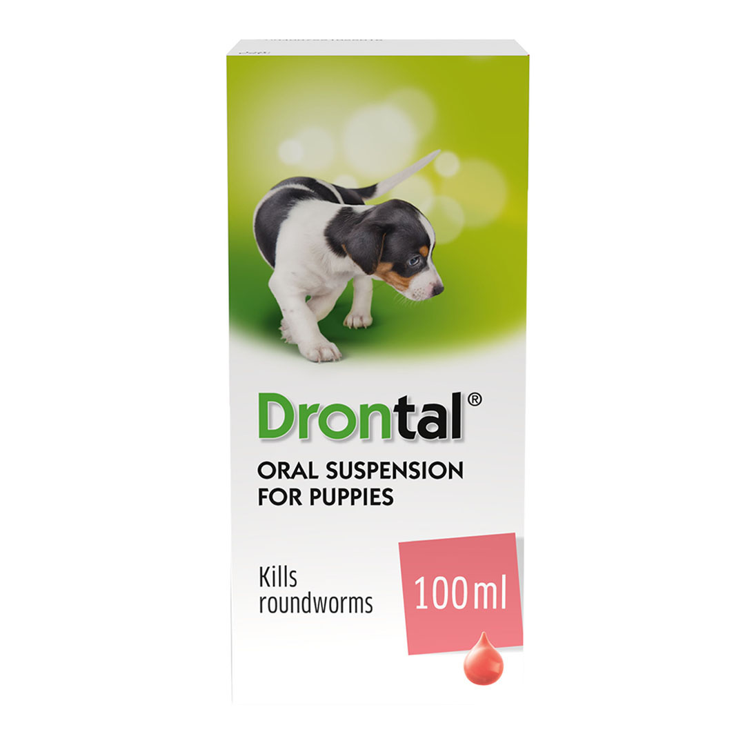 Drontal Puppy Liquid Wormer 100ml Dog Wormers Jollyes