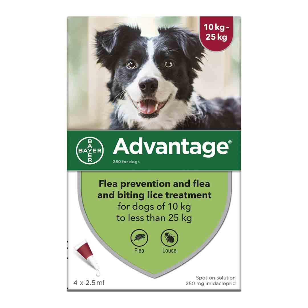 Advantage 250 4 ml x 2.5 ml Dog Flea Treatment