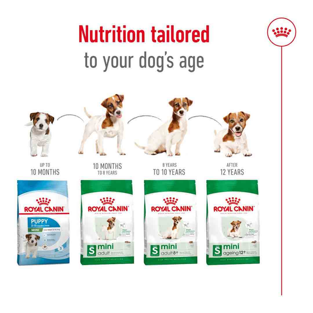 Royal Canin Dry Dog Food Mini Adult 8kg Jollyes