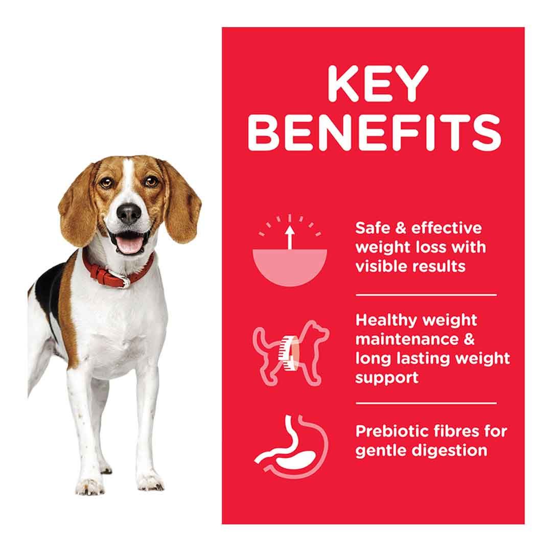 Hill's Science Plan Adult Perfect Weight Medium Dry Dog Food Chicken