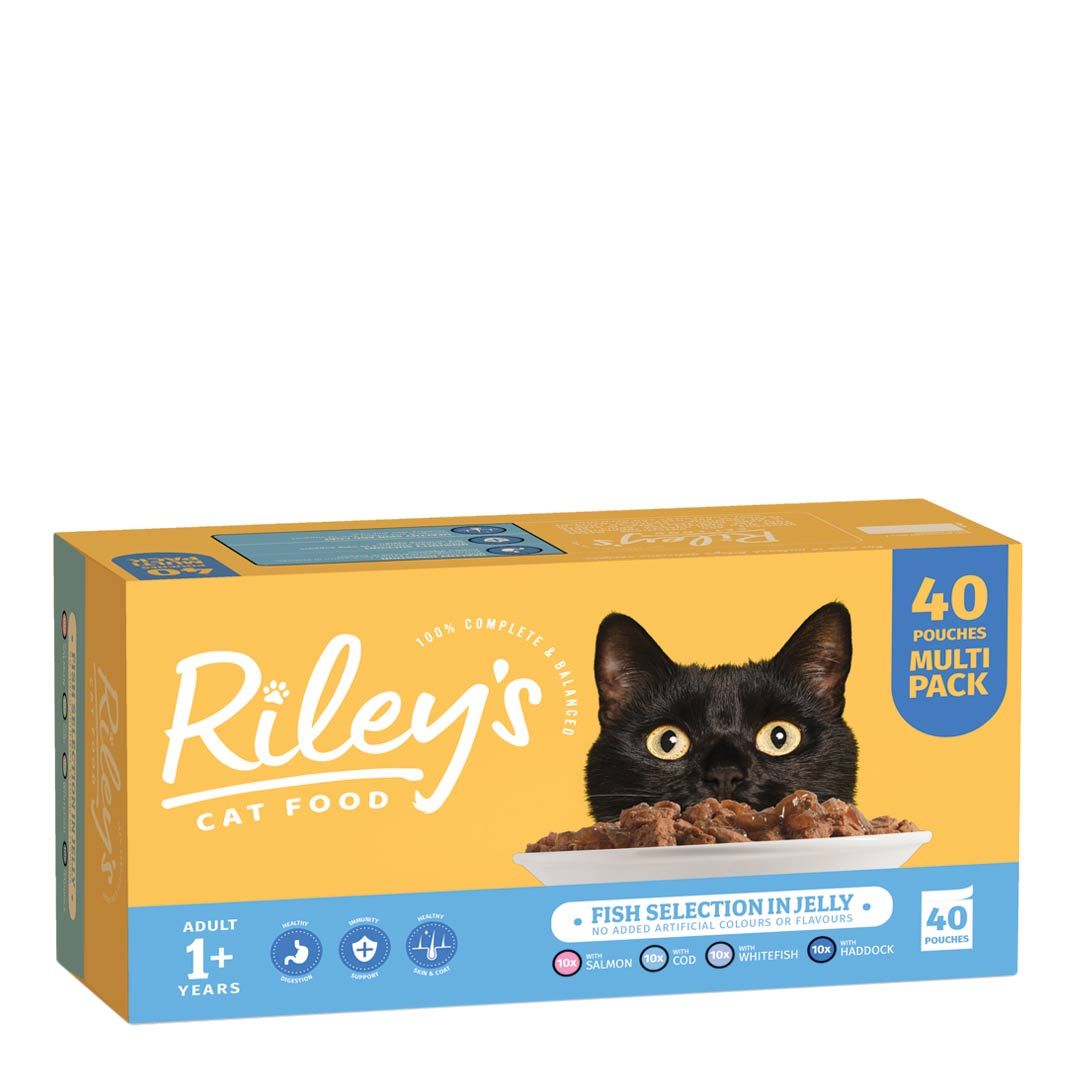 Wet Cat Food Healthy Wet Cat Food Cat Food Pouches Jollyes
