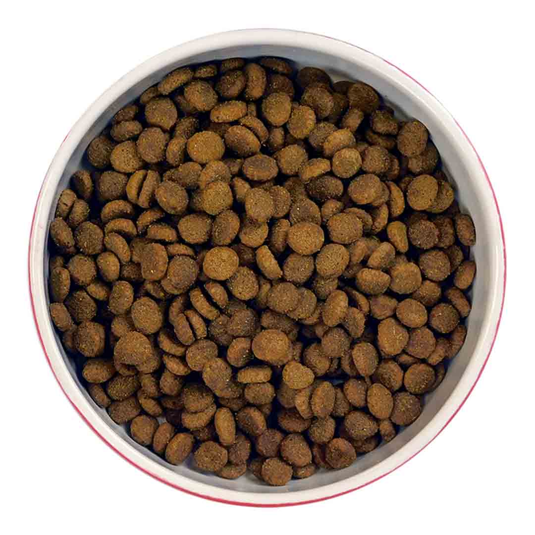 meowing heads cat food