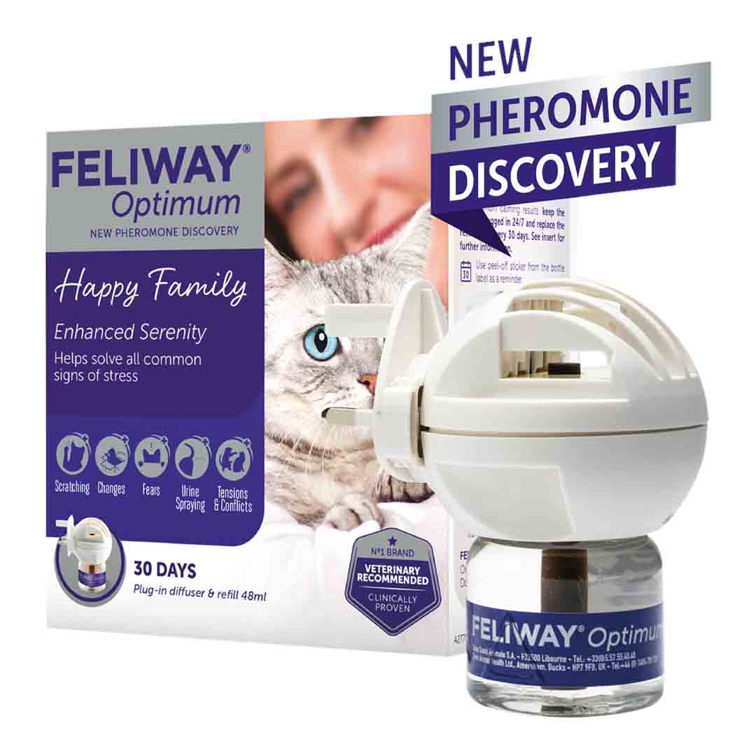 Reducing Cat Stress With Diffusers Reference: Feliway Optimum Cat And Kitten Stress Reducing Calming Diffuser