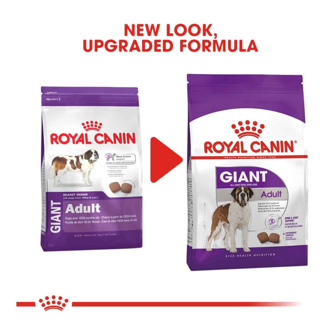 Royal Canin Giant Adult 15kg | Dry Dog Food
