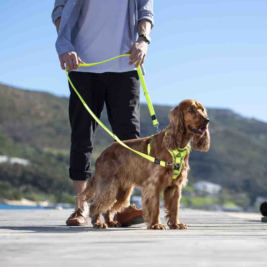 Rogz Utility Control Medium Red Dog Harness Dog Harness