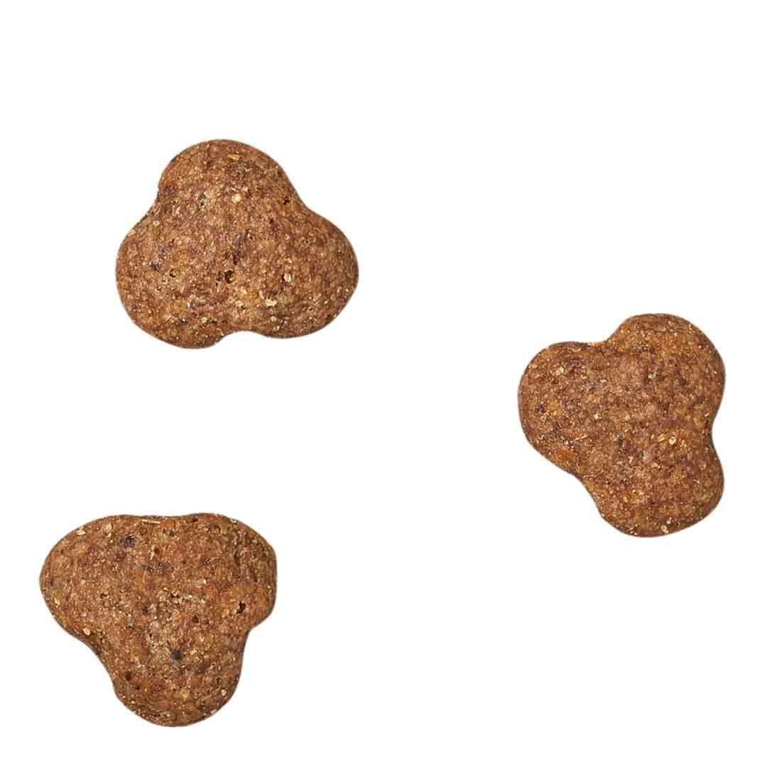 James Wellbeloved Dog Senior Turkey & Rice 2kg Dry Dog Food