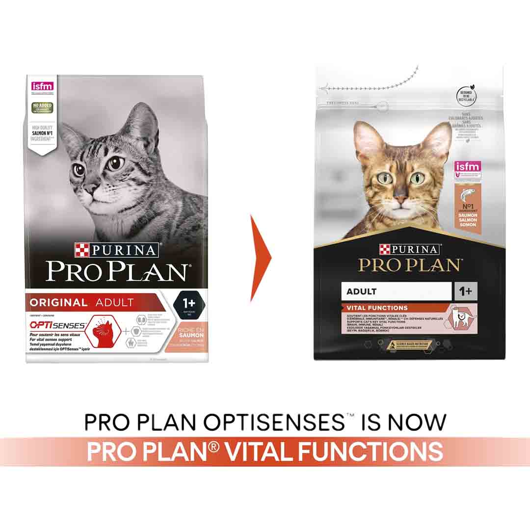 Pro Plan Cat Adult with Optirenal Rich in Salmon 3kg Dry Cat Food