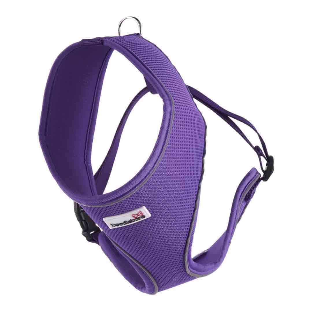 Doodlebone Dog Accessories Instore & Online at Jollyes