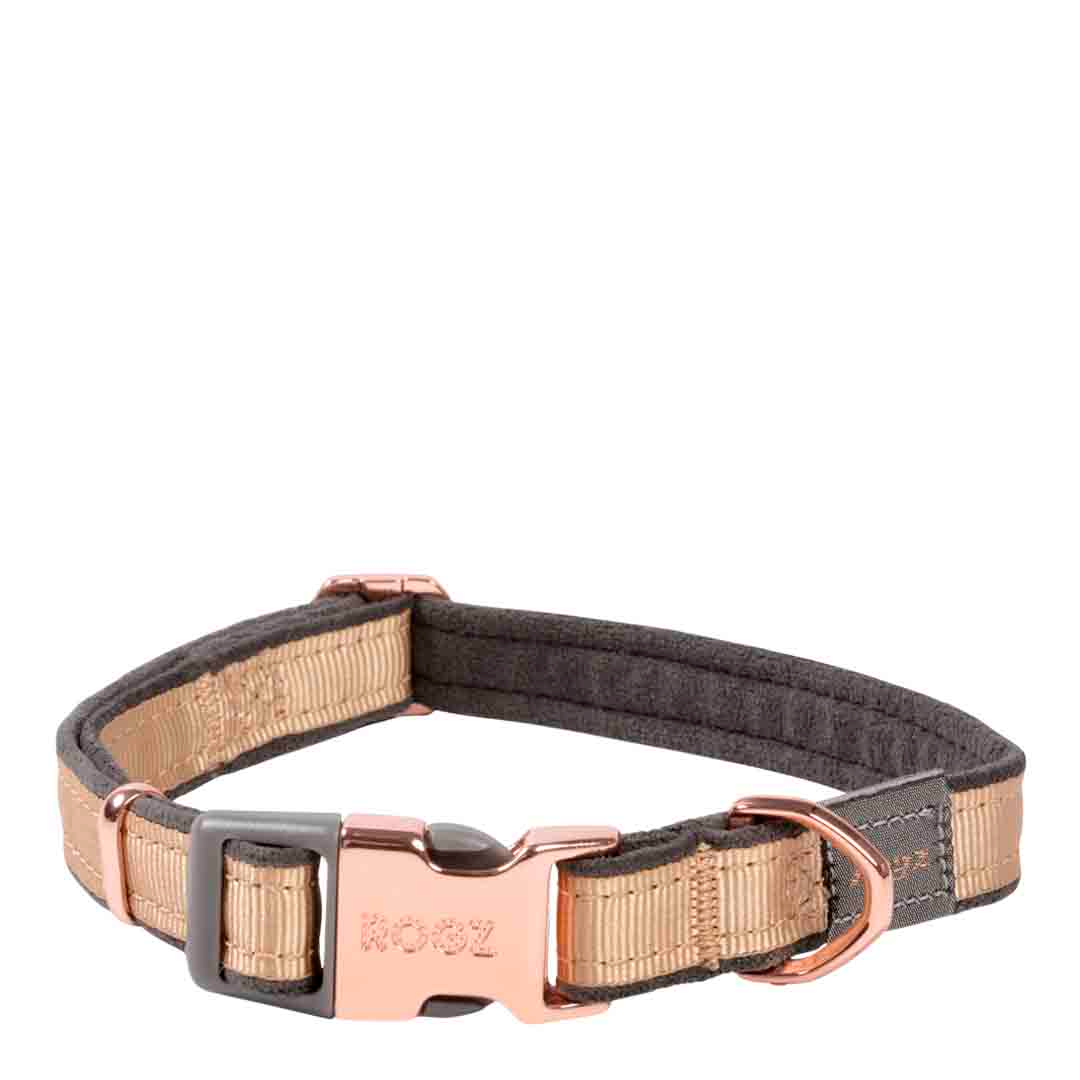 Rogz Urban Side Release Medium Gold Dog Collar | Dog Collar