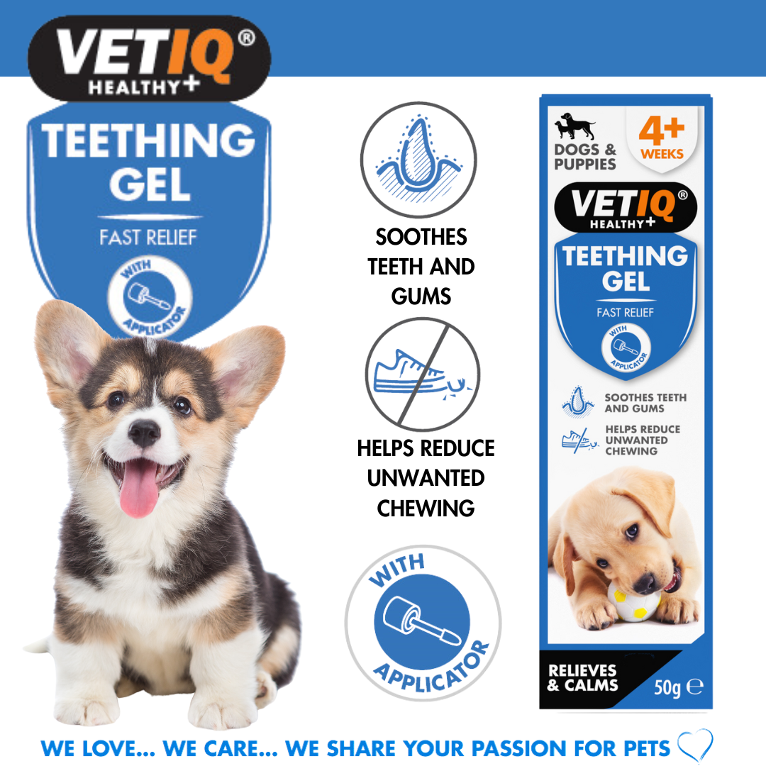 VetIQ Puppy Teething Gel Jollyes