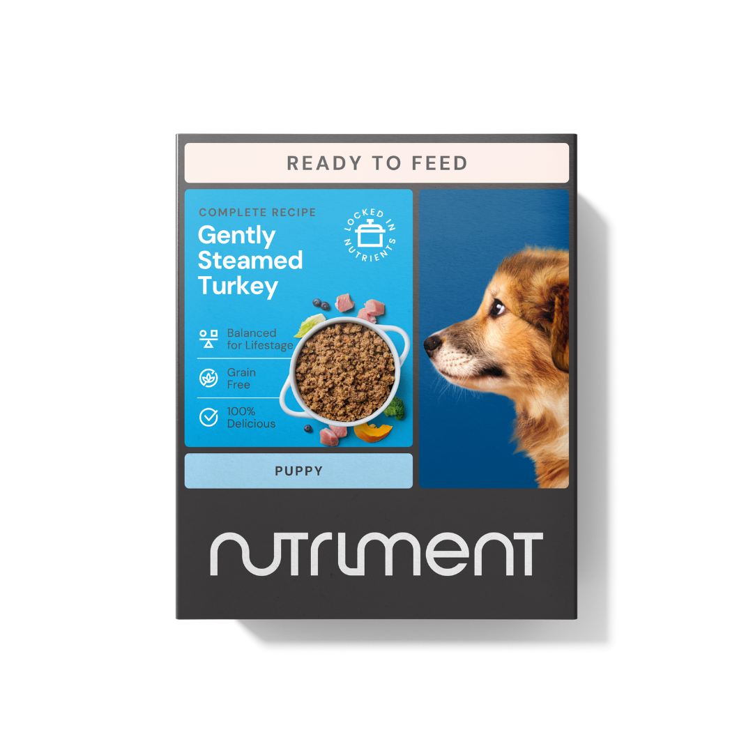 Nutriment Nutriment Gently Steamed Raw Turkey Puppy Dry Dog Food pet food packaging