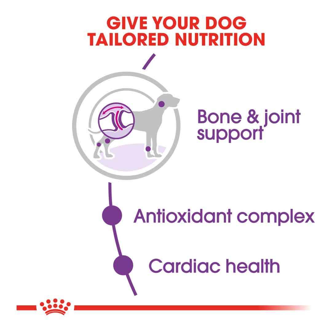 Royal Canin Dry Dog Food Giant Adult 15kg | Jollyes