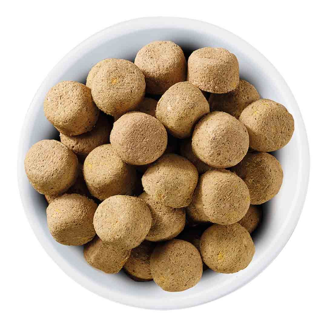 Nature's Variety Complete Freeze Dried Food Dog Chicken 840g Dry Dog Food