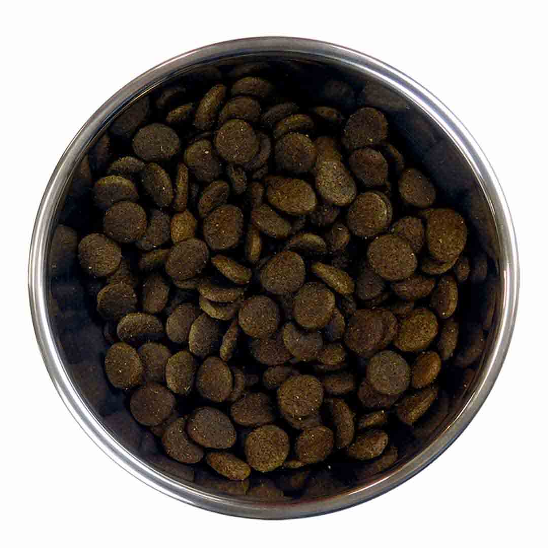 Barking Heads Top Dog Turkey Dry Dog Food 2kg Jollyes