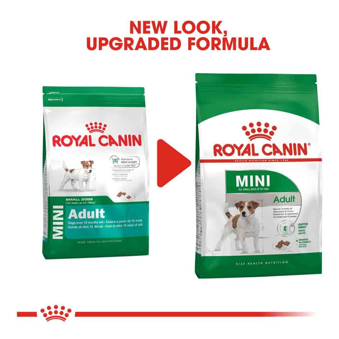 Royal Canin Mini Adult 2kg | Dry Dog Food