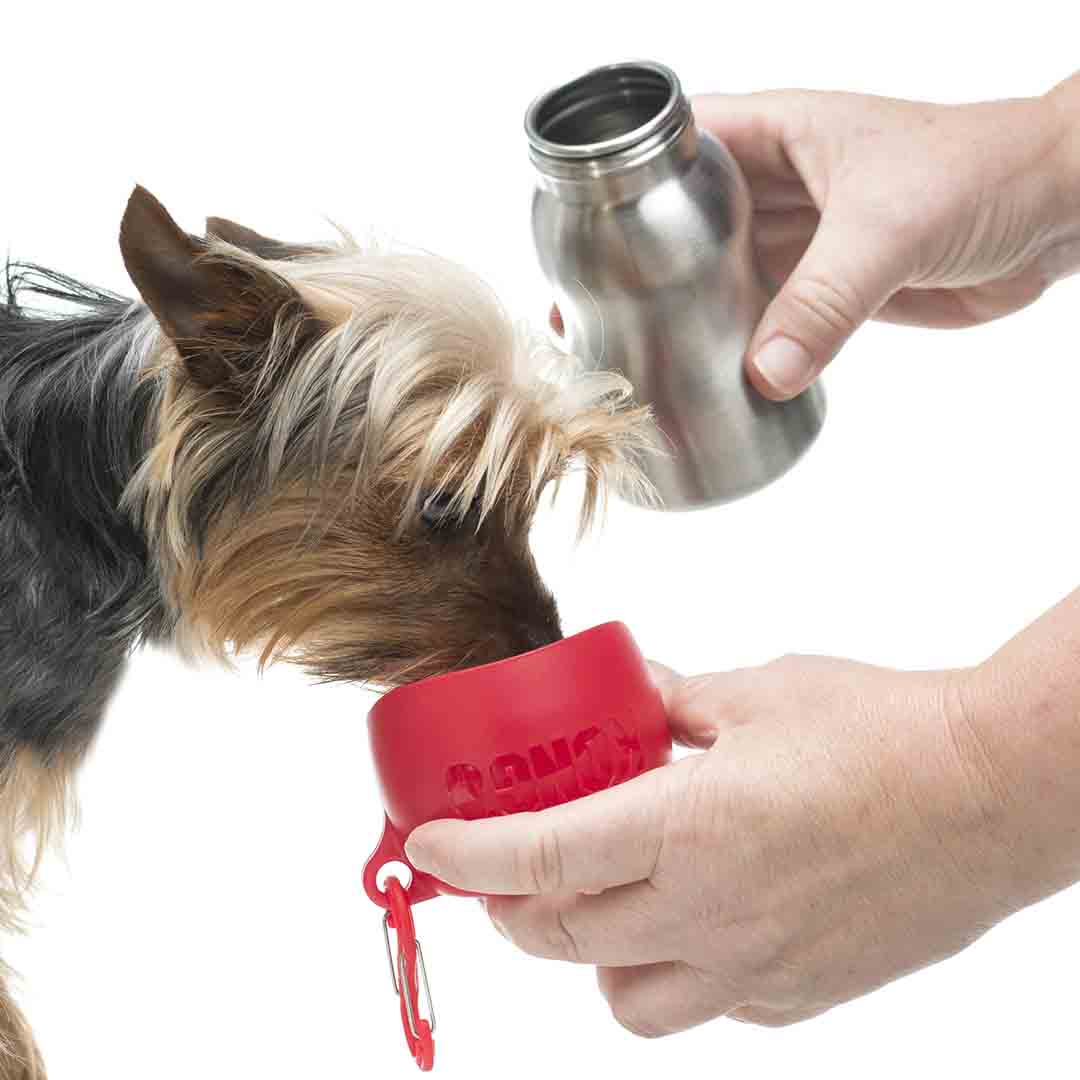 Oz Kong Water Bottle KONG H2O Stainless Steel Dog Water Bottle 270