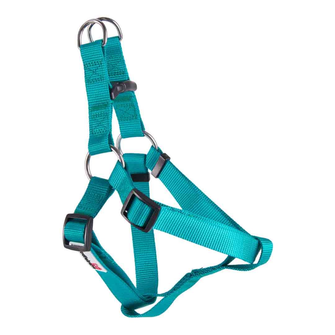 Doodlebone Dog Accessories Instore & Online at Jollyes