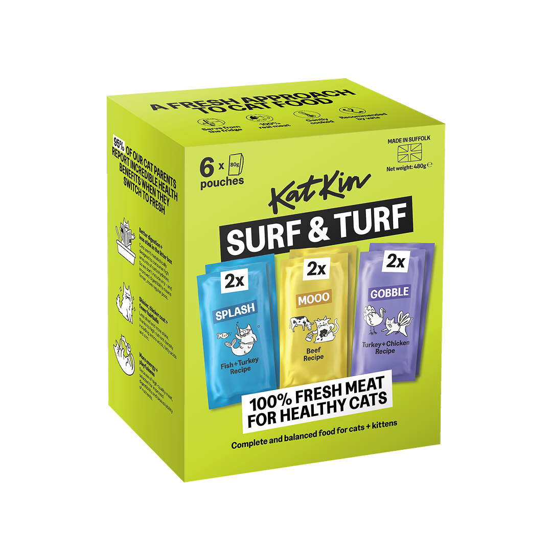 KatKin Katkin Surf 38 Turf Beef Turkey Kitten Dry Cat Food pet food packaging