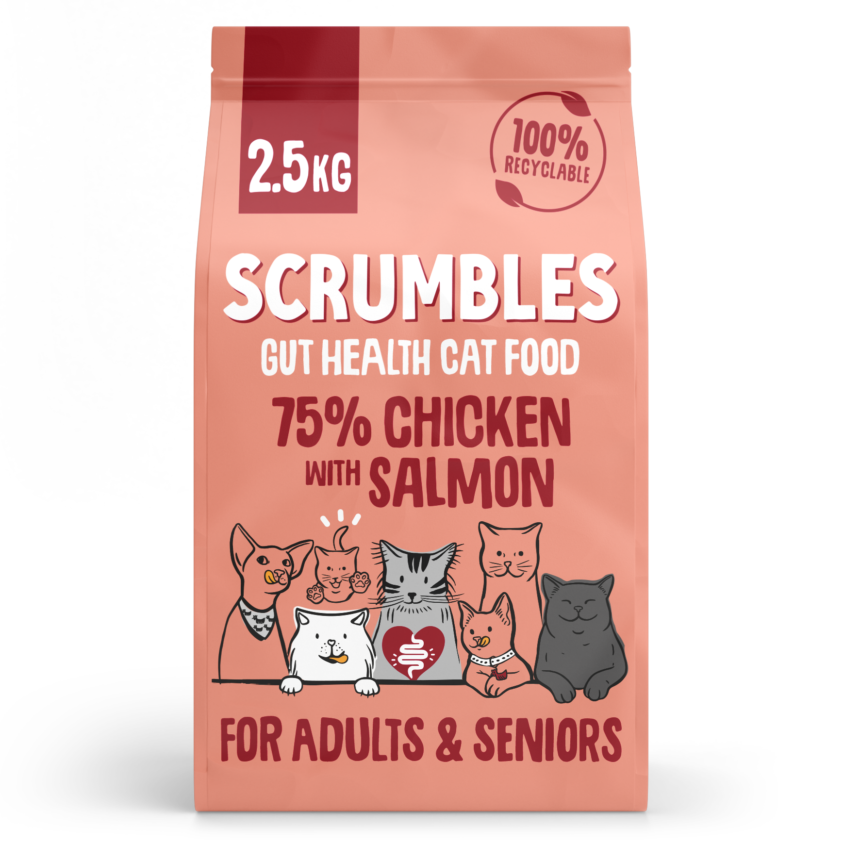 Scrumbles Scrumbles For 38 Salmon Adult Dry Cat Food pet food packaging