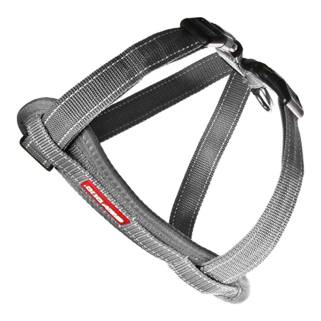 Dog Leads, Collars and Harnesses Jollyes