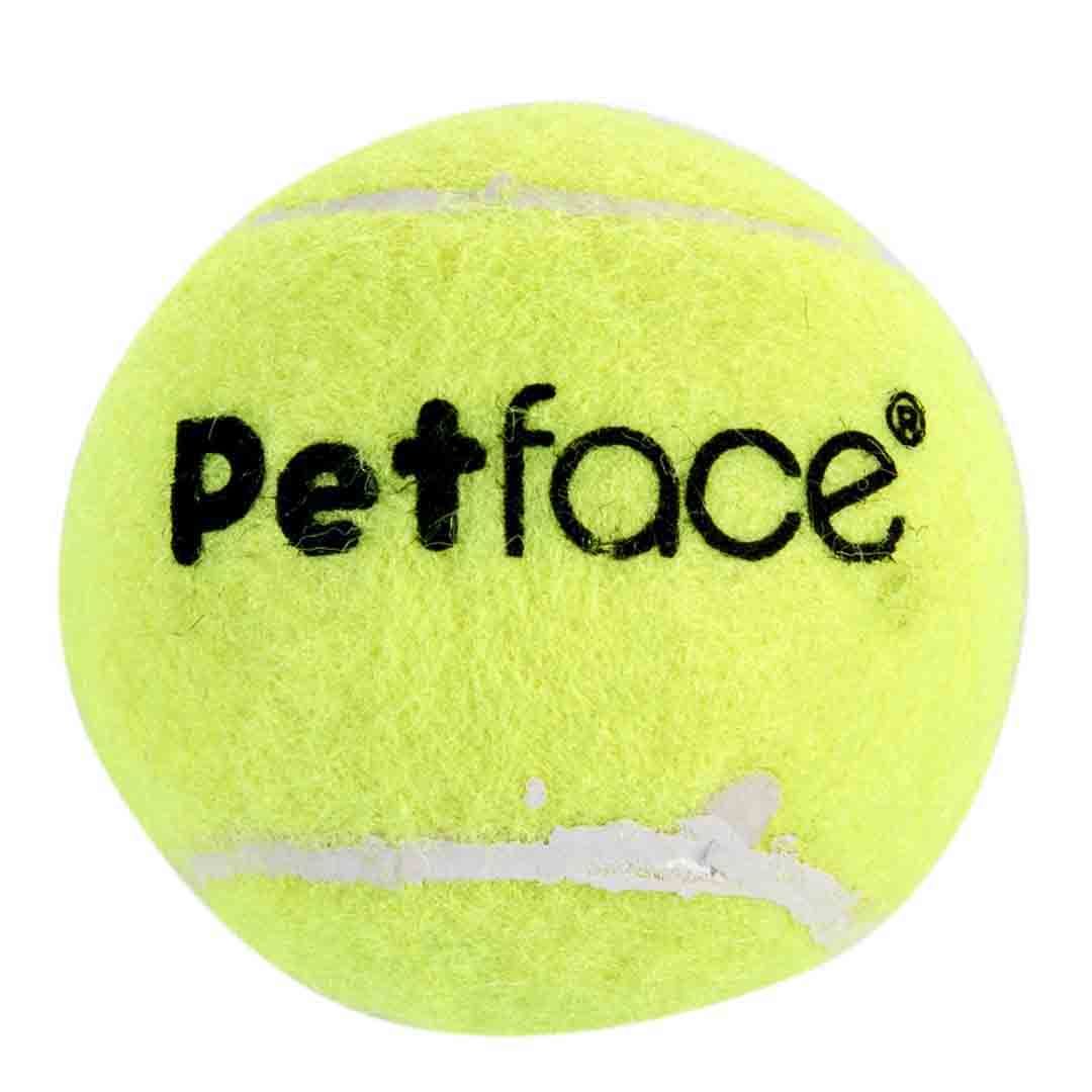 Are The Inside Of Tennis Balls Safe For Dogs