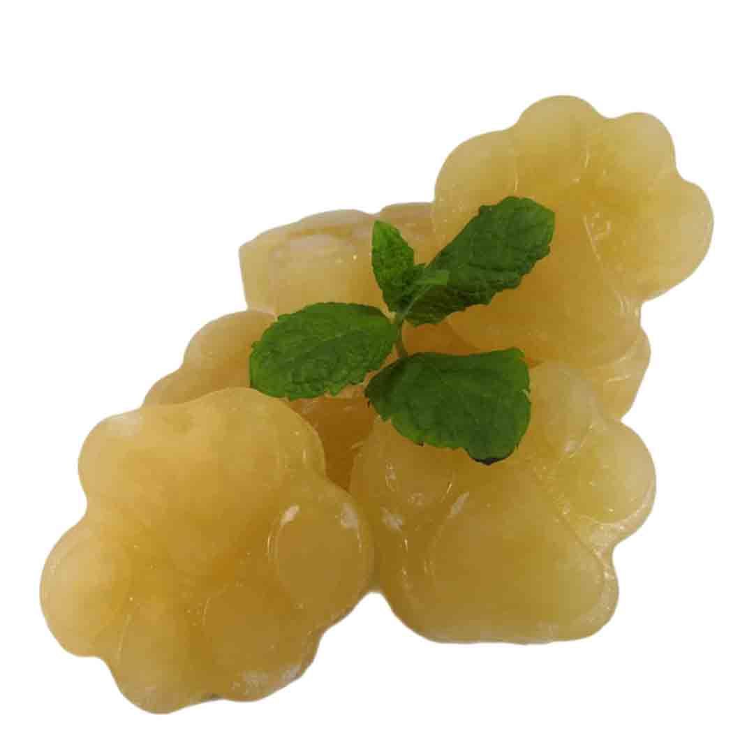 Alexanders Natural Lamb Bone Broth Dog Health Supplement