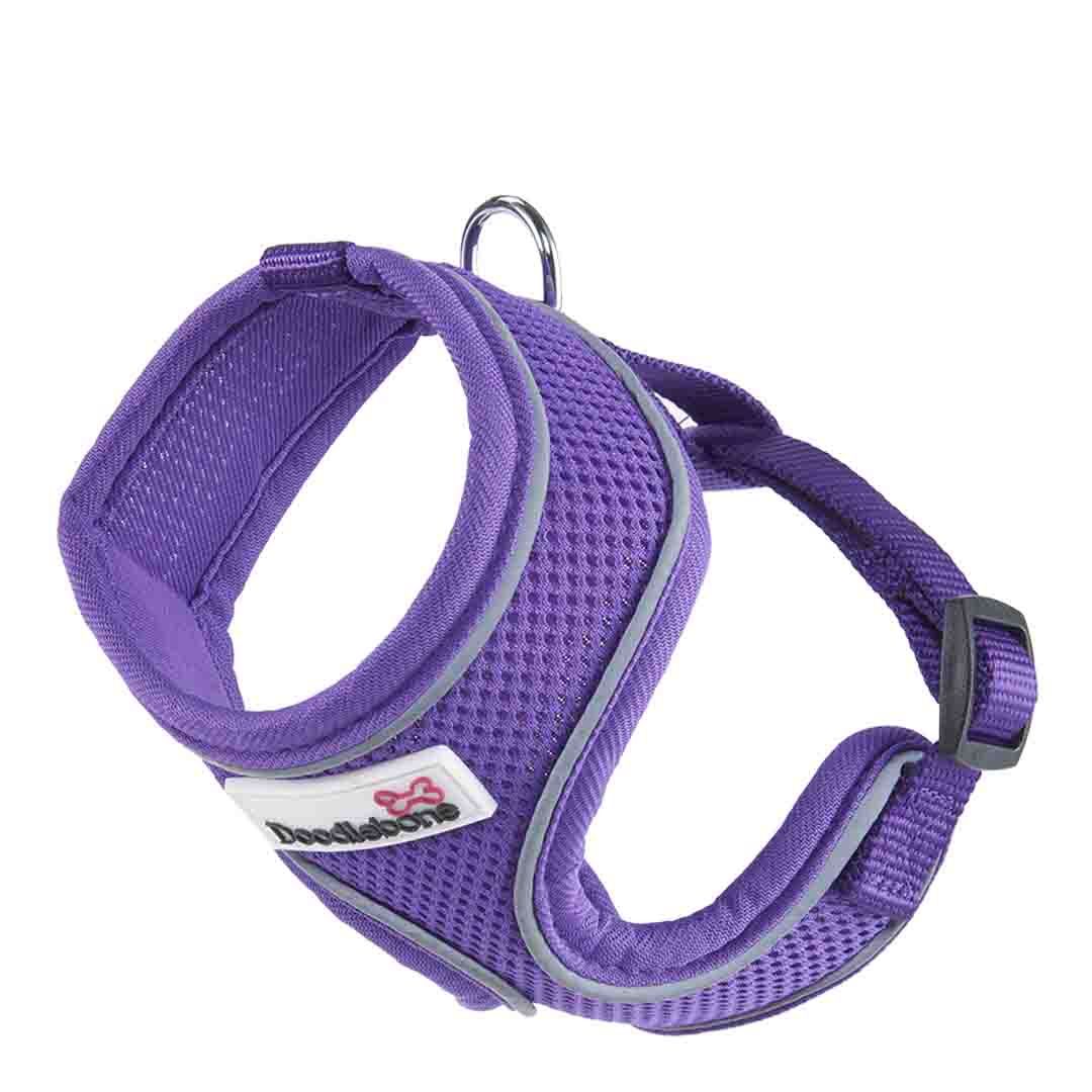 Doodlebone Dog Accessories Instore & Online at Jollyes