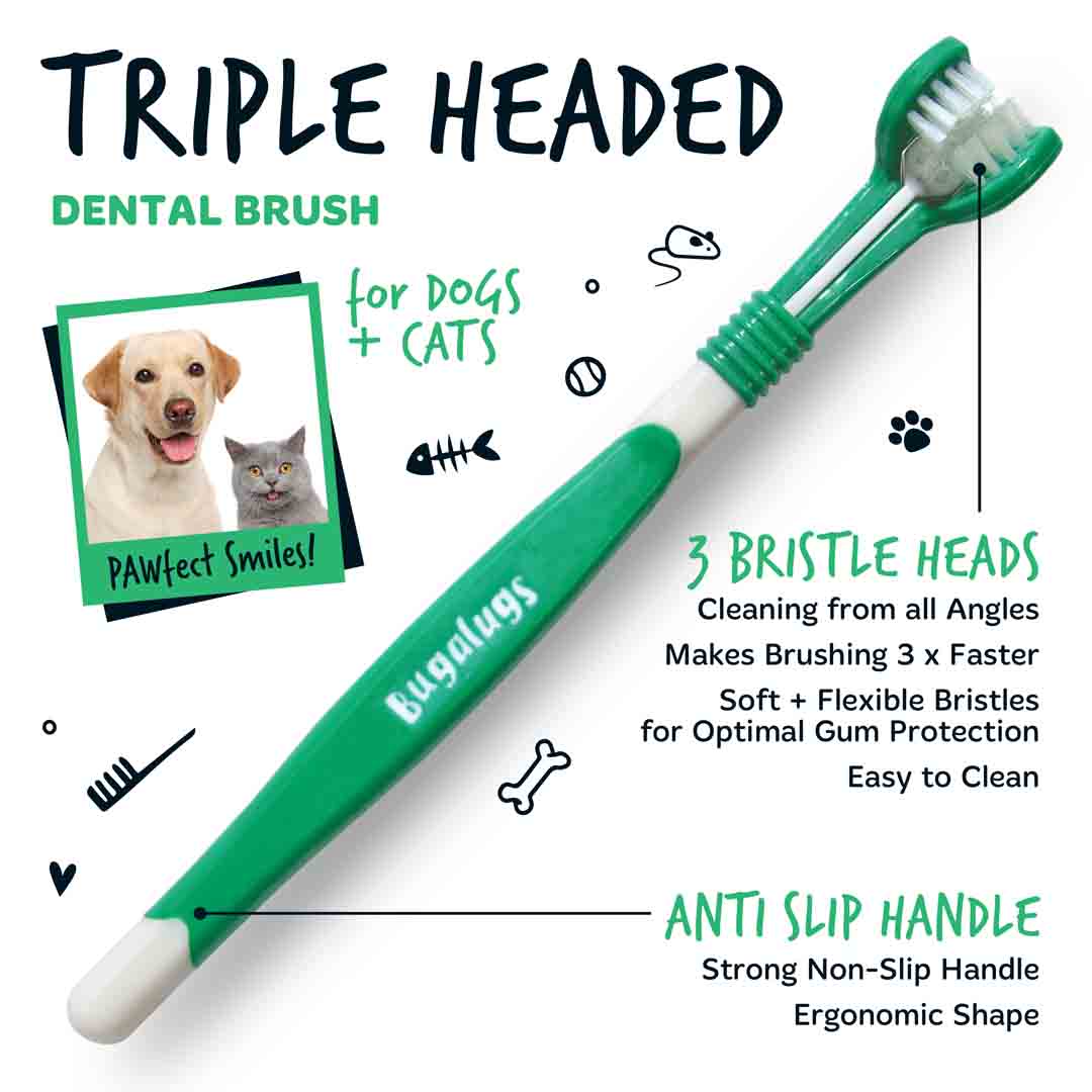 Teeth Cleaning Bristly Dog Toothbrush Review Buy Pet Dog Electric