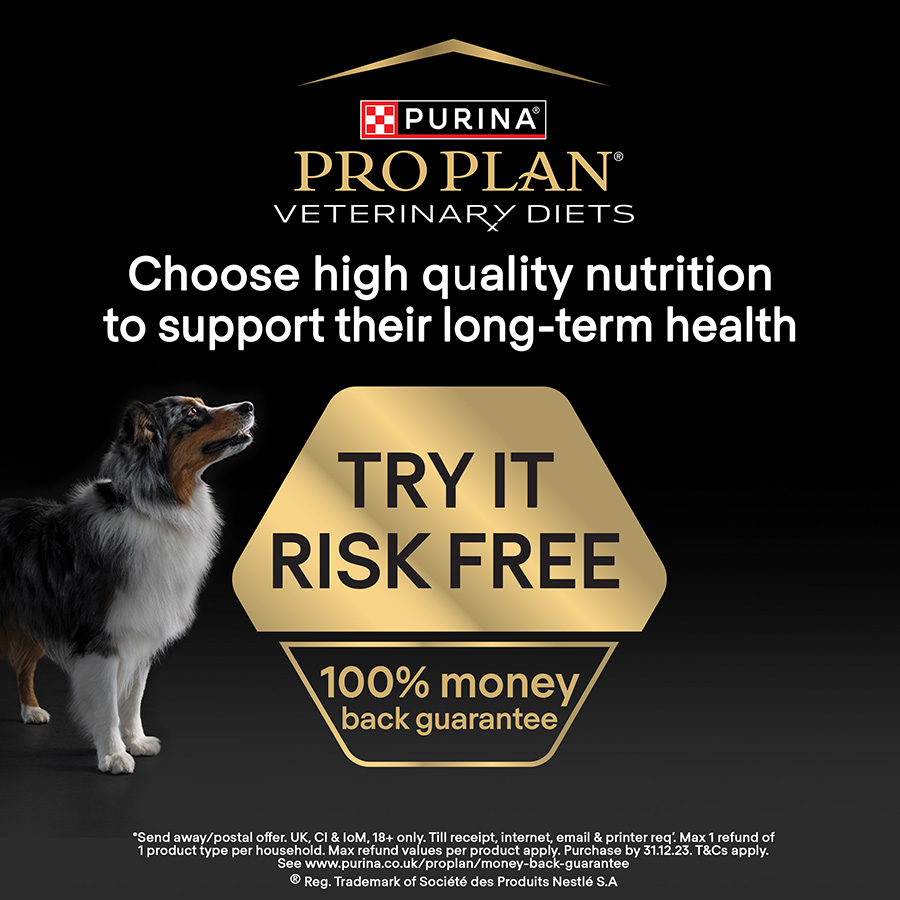 Hydrolyzed Protein Purina Ha Dog Food 3kg ROYAL CANIN VETERINARY