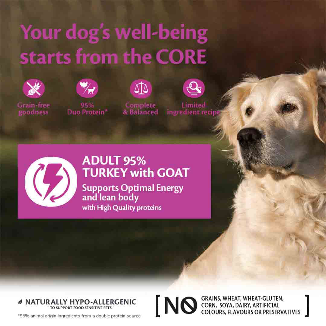 Wellness CORE Wet Dog Food 95% Duo Protein Turkey with Goat with