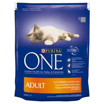 Purina One Purina One Whole Grains Chicken Adult Dry Dog Food pet food packaging