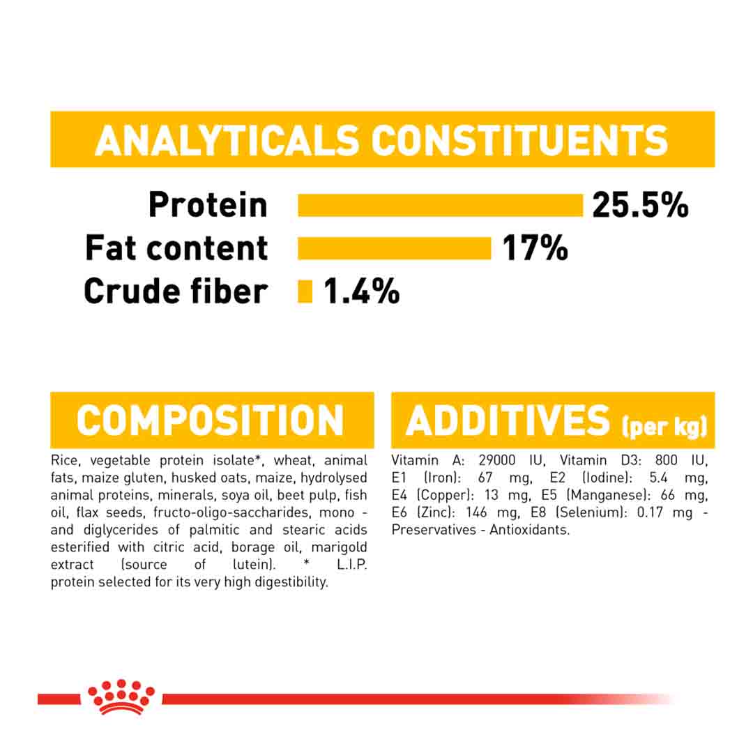 Royal Canin Mini Dermacomfort Care Adult Dry Dog Food | Dry Dog Food