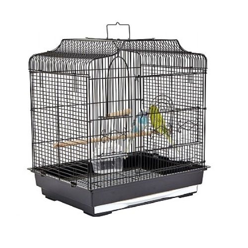 Pet Bird Supplies Pet Bird Food & Accessories Jollyes