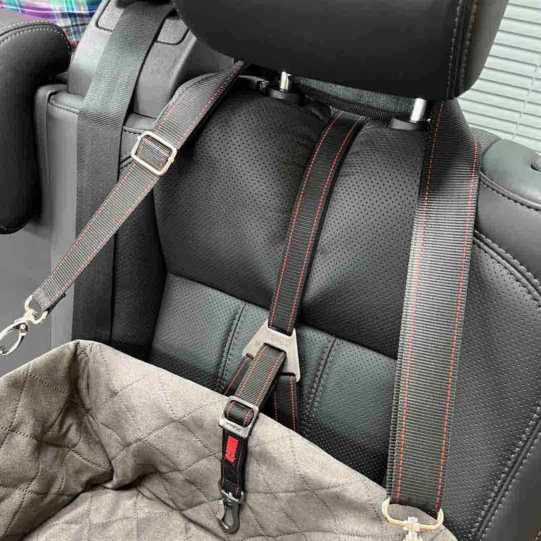 KONG Ultimate Booster Seat & Tether | Dog Accessory