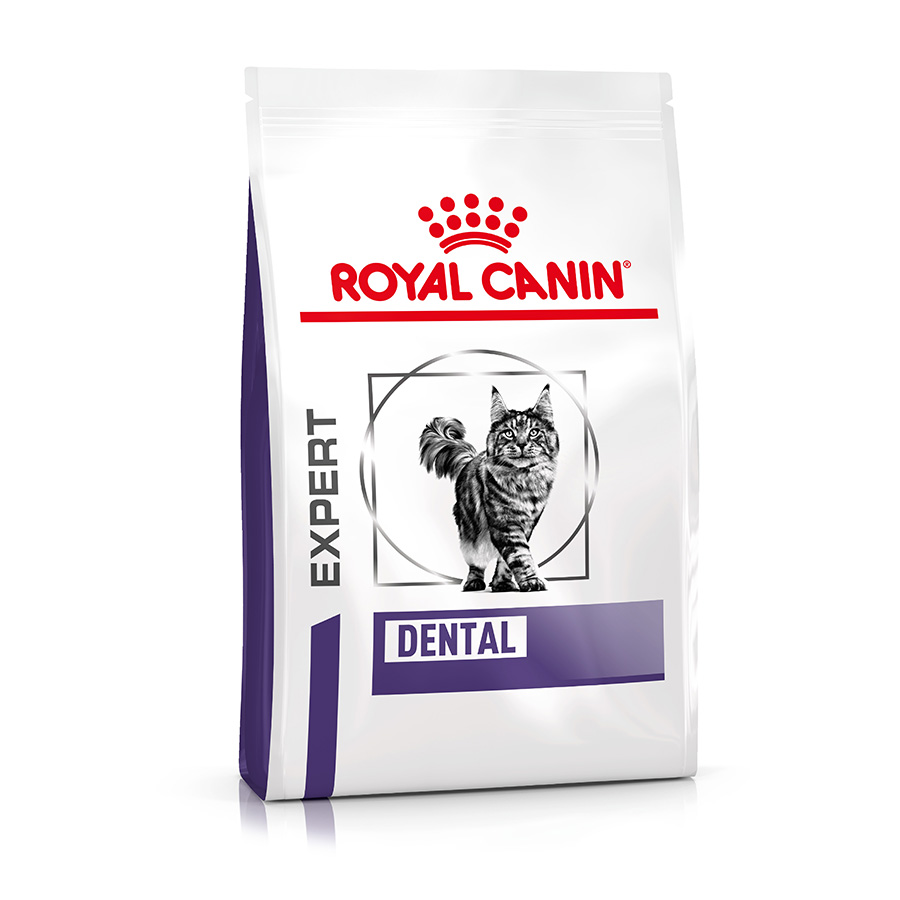 Royal Canin Dental Adult Dry Cat Food Jollyes