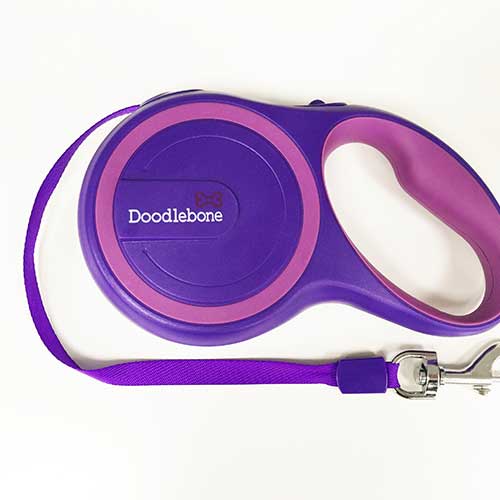 purple extendable dog lead