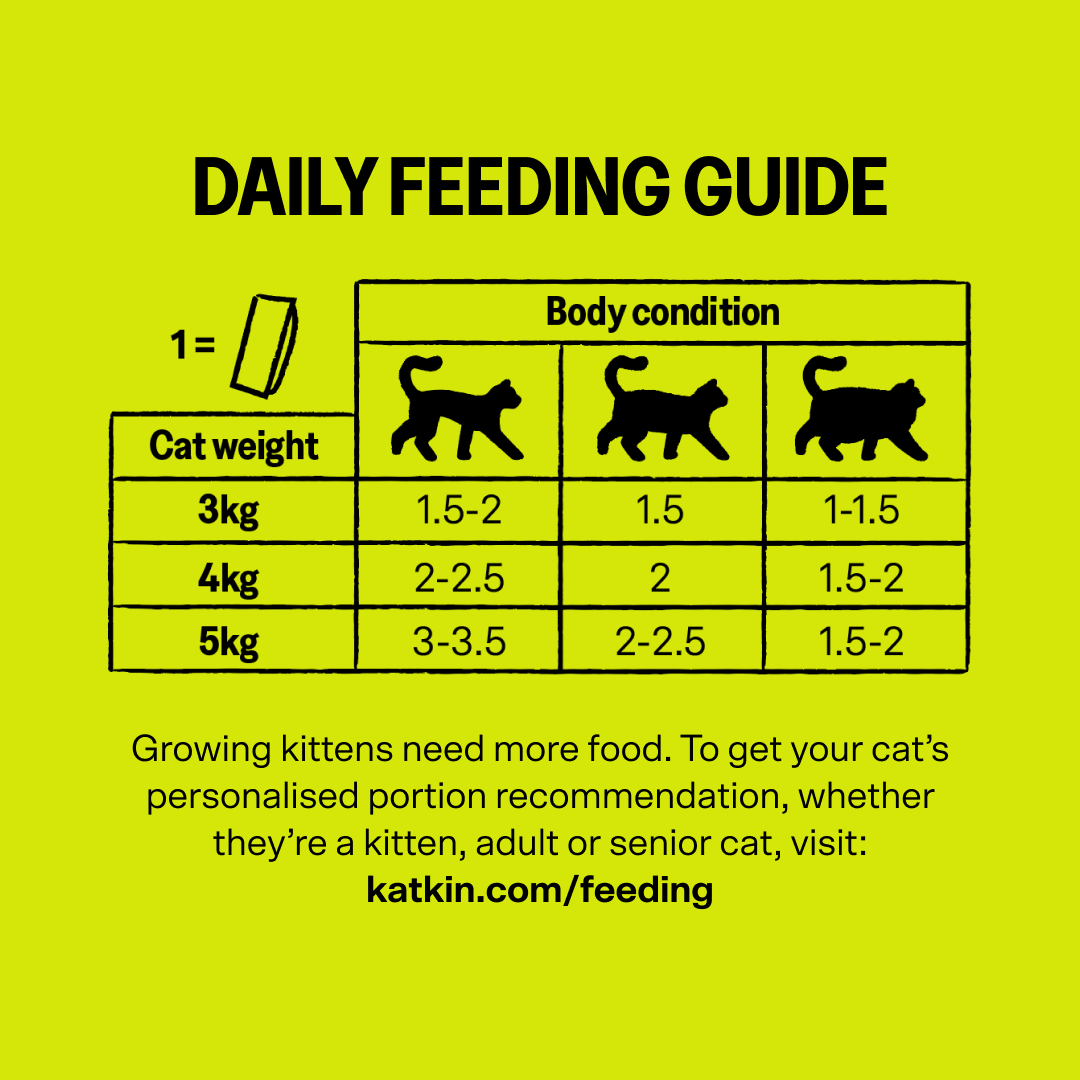 KatKin SURF & TURF Fresh Cat and Kitten Food, Variety Pack (Fish