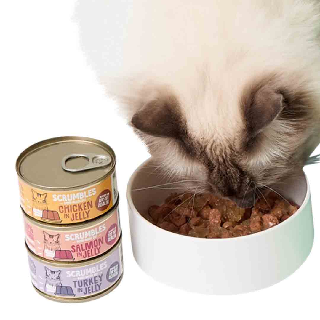 Scrumbles Grain Free Wet Cat Food in Jelly Classic Selection 6x80g