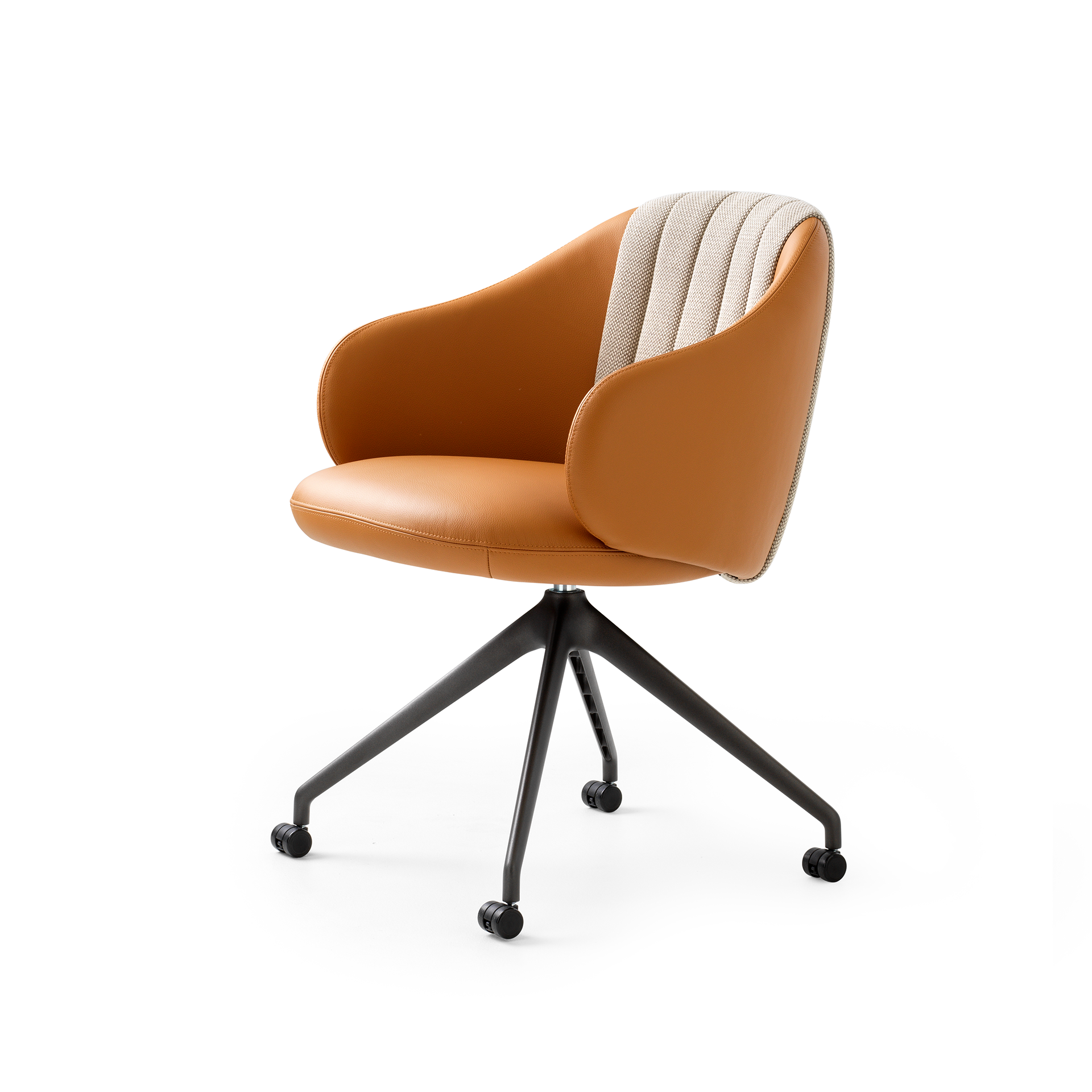 Leolux Baani Chair Overview