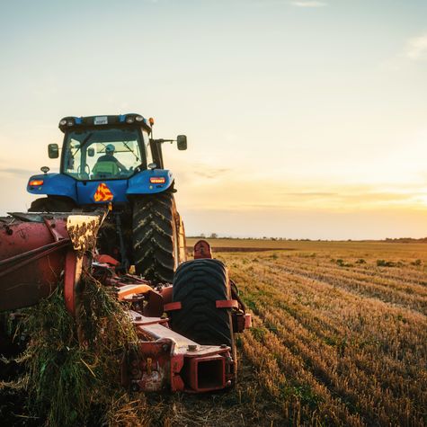 Traktor auf dem Feld