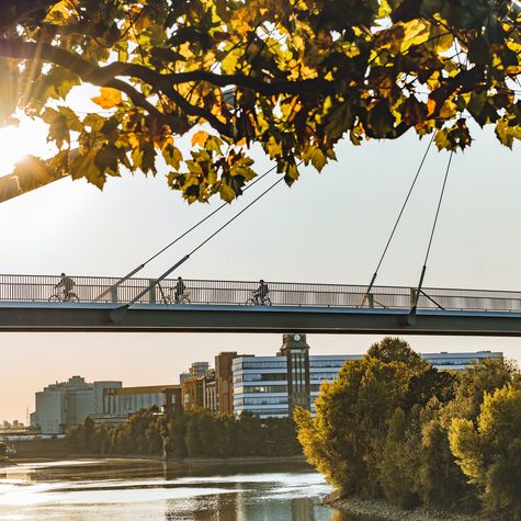 Rheinbrücke Düsseldorf