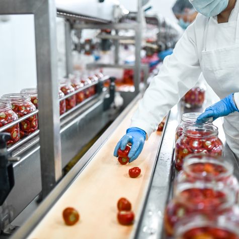 Arbeiter füllt Paprika ins Glas