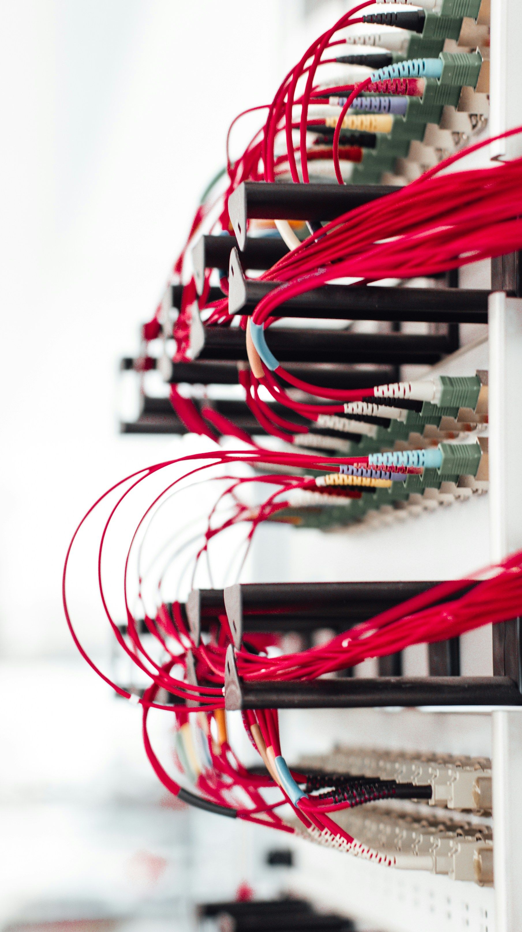 Cables going to a server connected to a litany of ports on the back