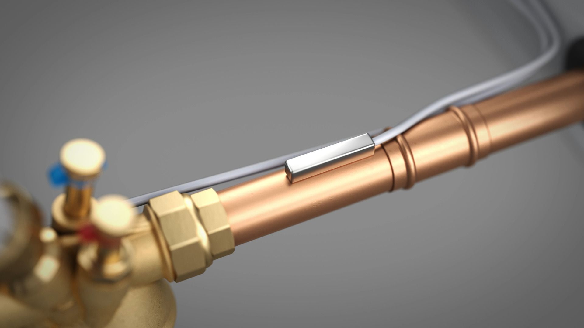 Rp Champ Animation 16