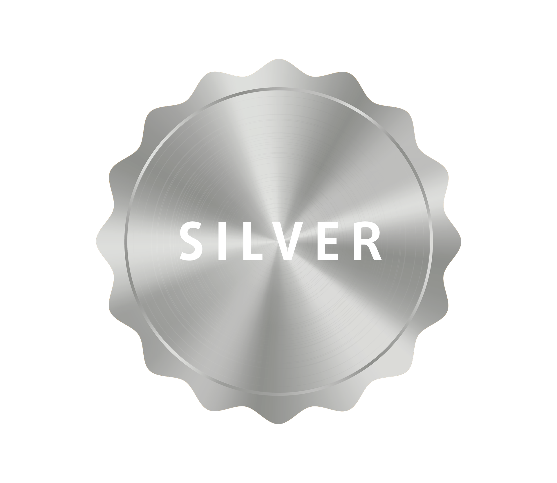 Service Package Silver